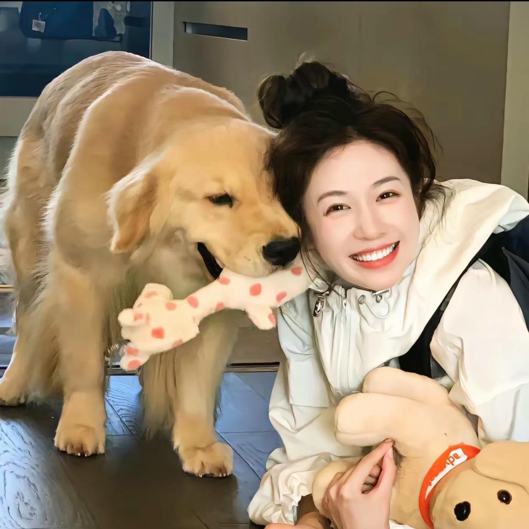 Y.头像