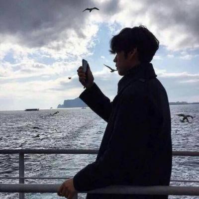 会宠你的小猪猪