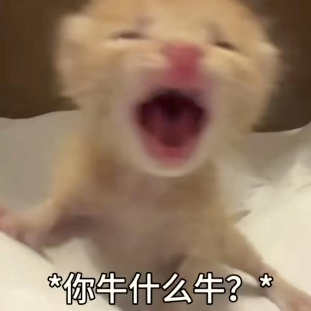 老炸