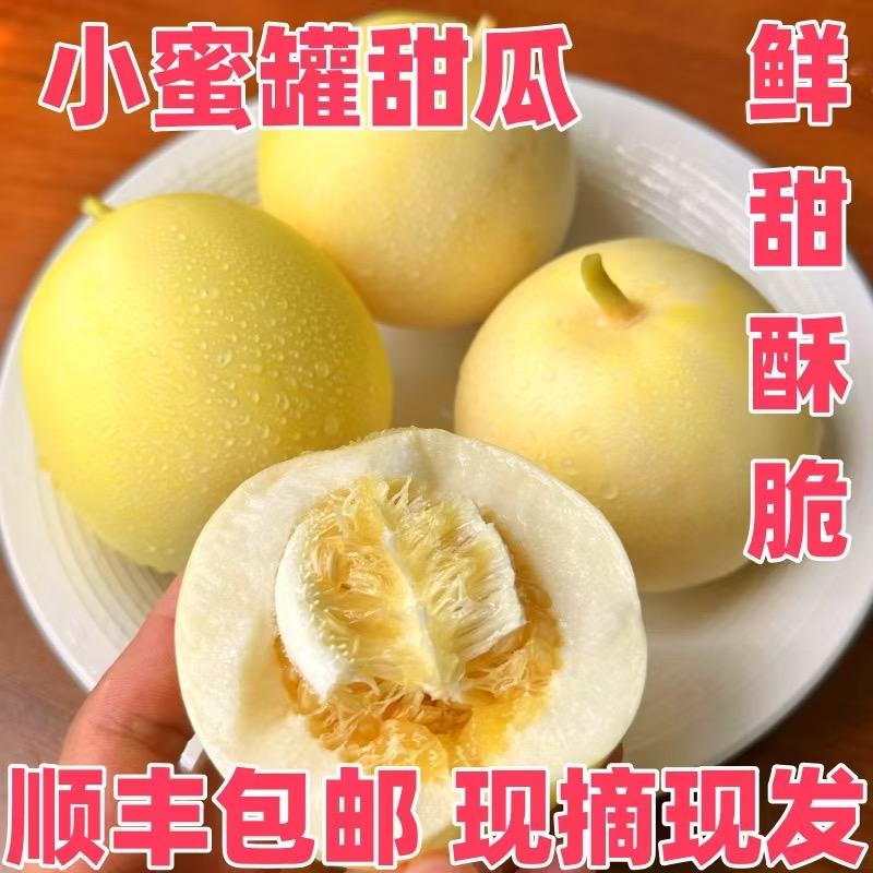 骄阳瓜果农场