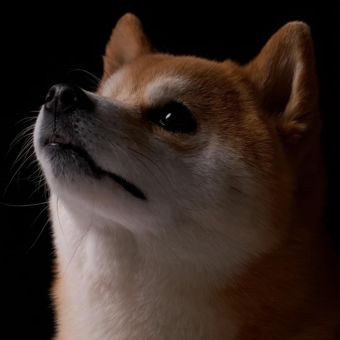 M ⠀