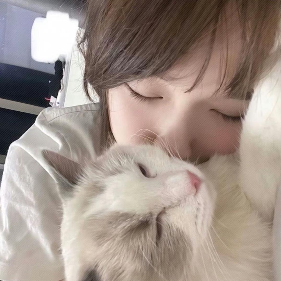 碗饱饱