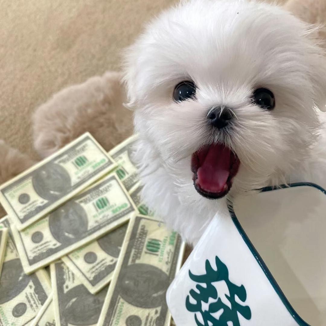 AAA疯狂星期四代吃