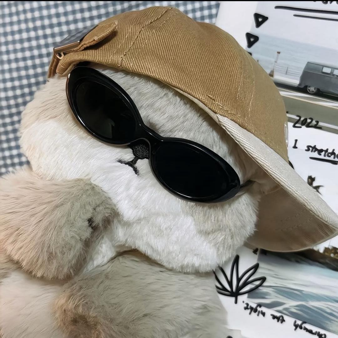 小Ss.