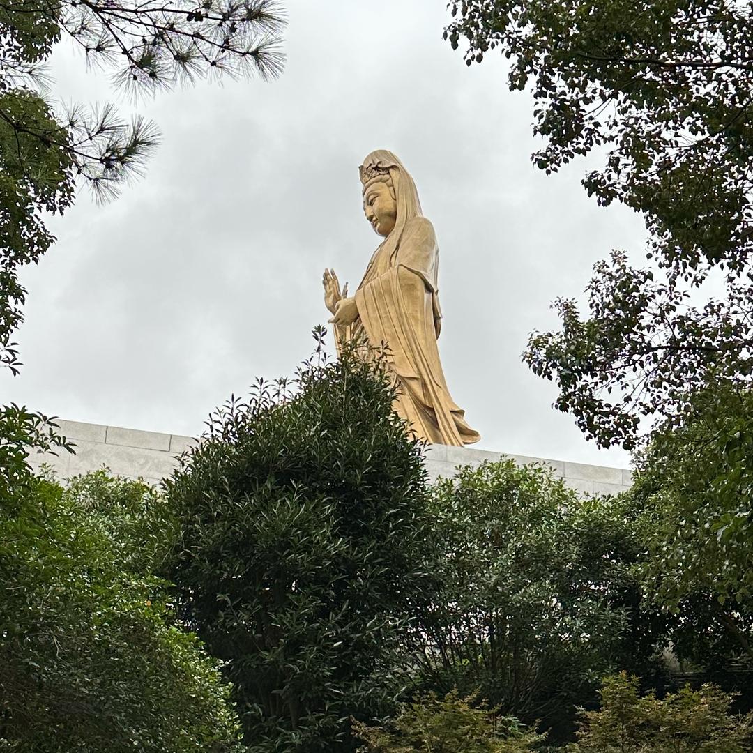 🌼甜心小可爱🌼 ⑰