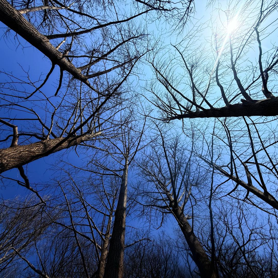 你直接注销账号啊，找你人找不到