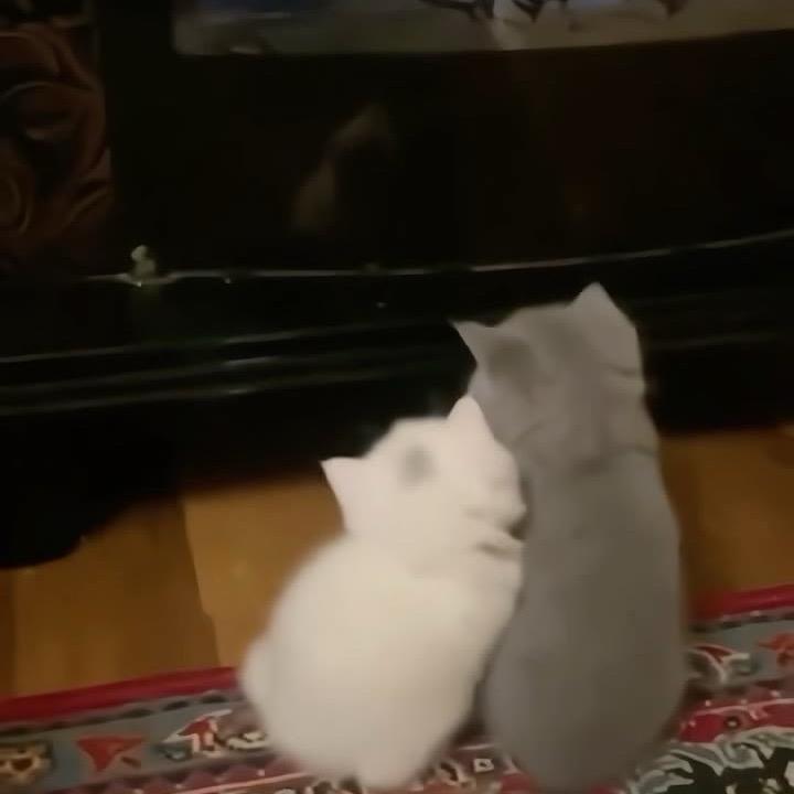 一直在