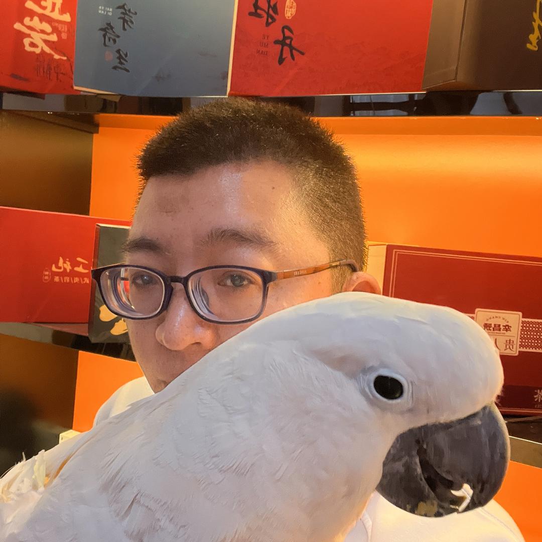 一介鸟人眼镜哥哥