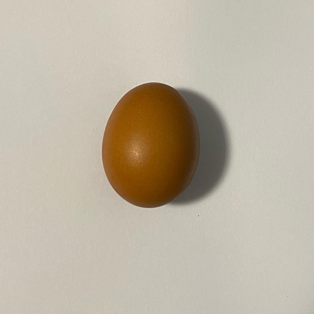 鸡蛋