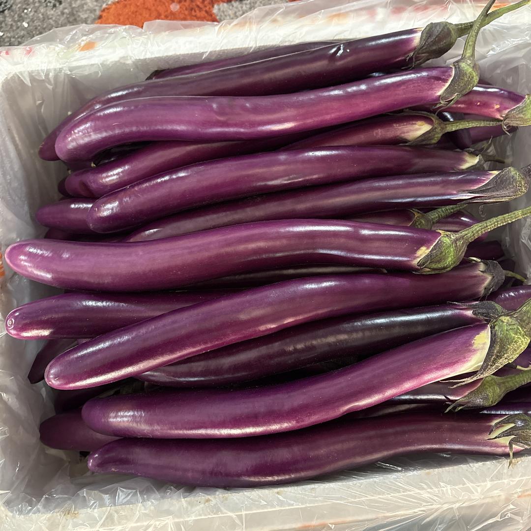 鲜意浓蔬菜批发