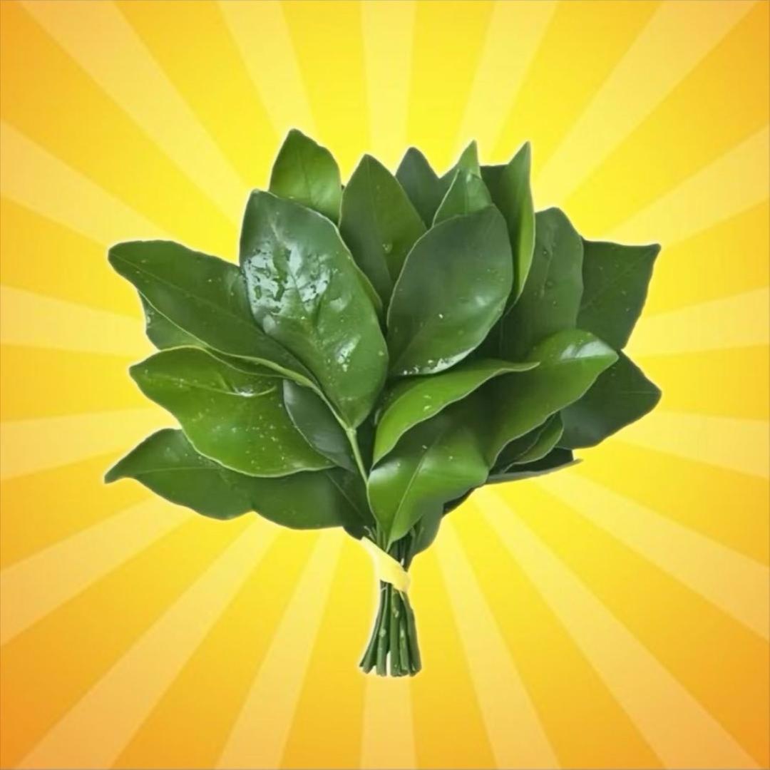 尉氏盐焗鹌鹑蛋二号