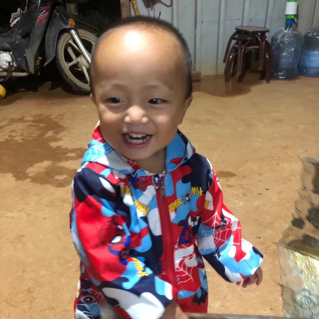 景洪嘎洒张小明苗木