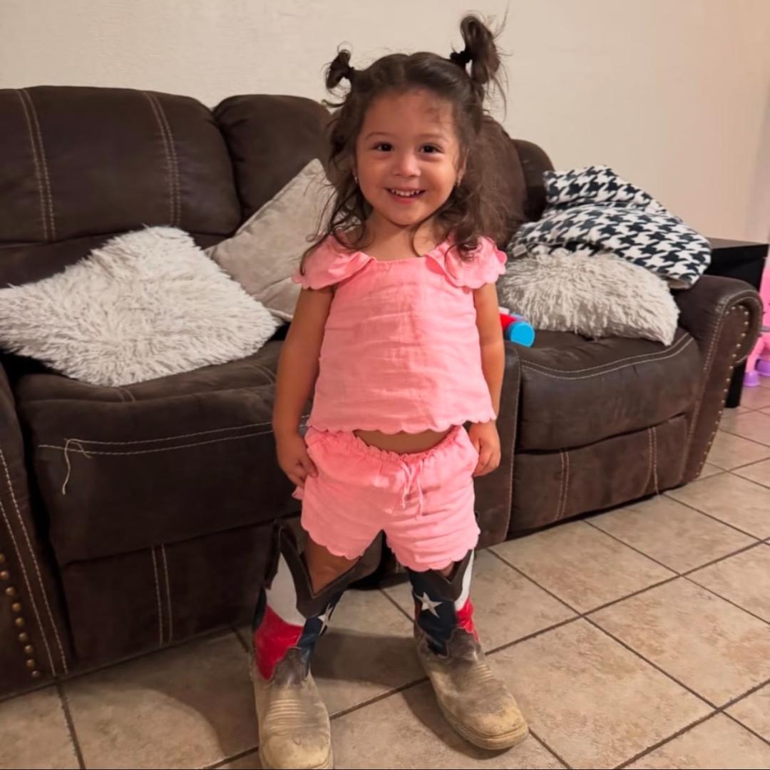 你是一只小蜜蜂