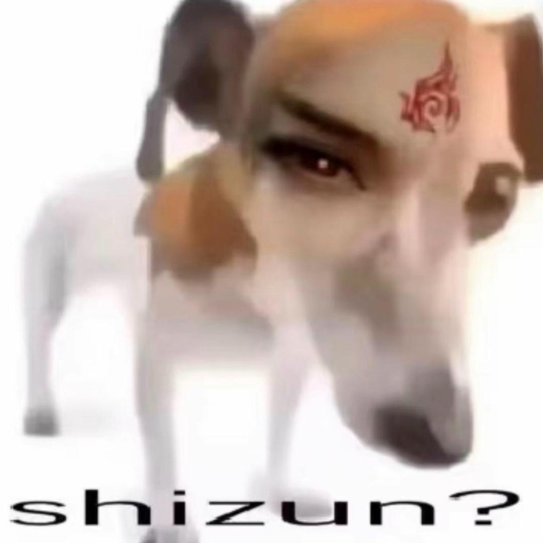 粥粥zZ