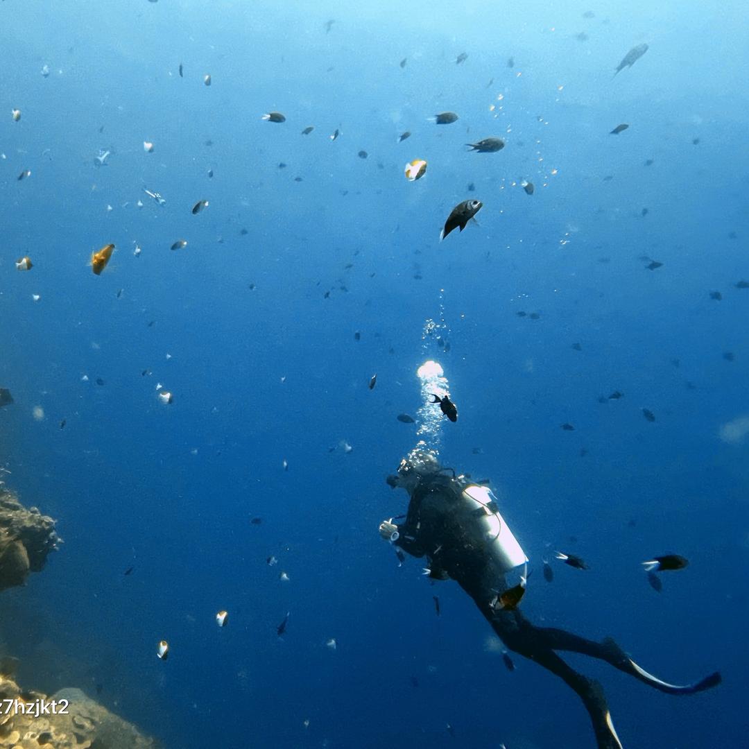 🌈贪杯的灵魂🌈