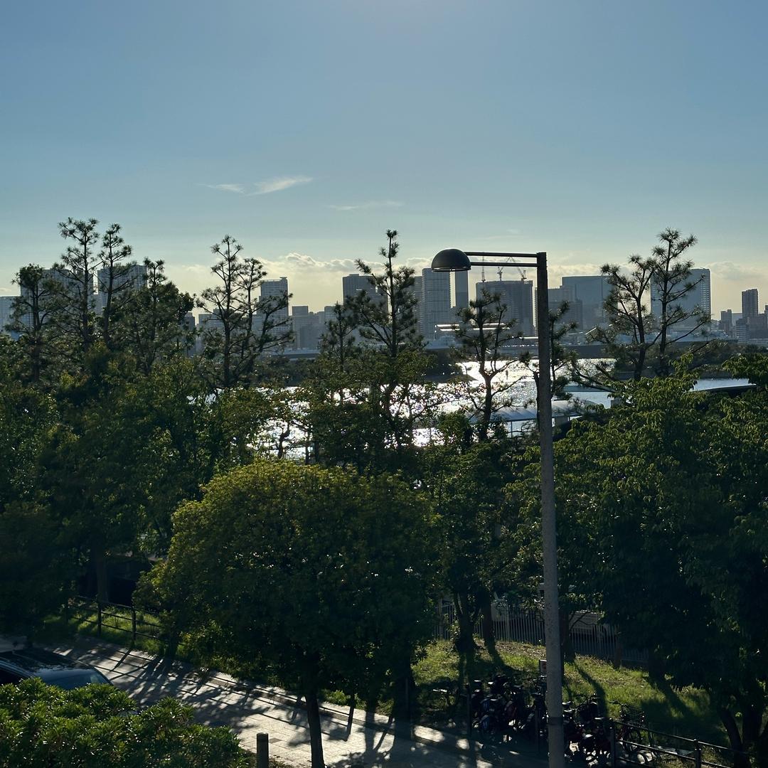 把自由女神塞进口袋