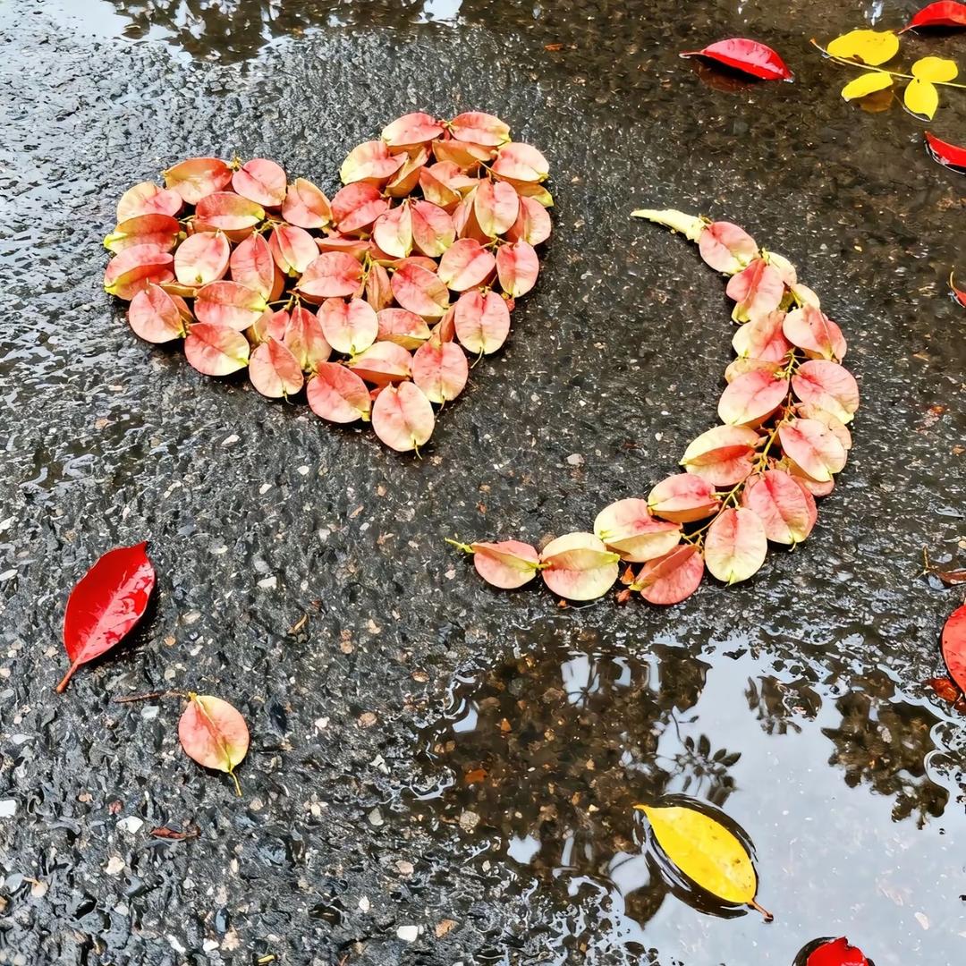 ☃️((❄️⥎淡念❄️))☃️