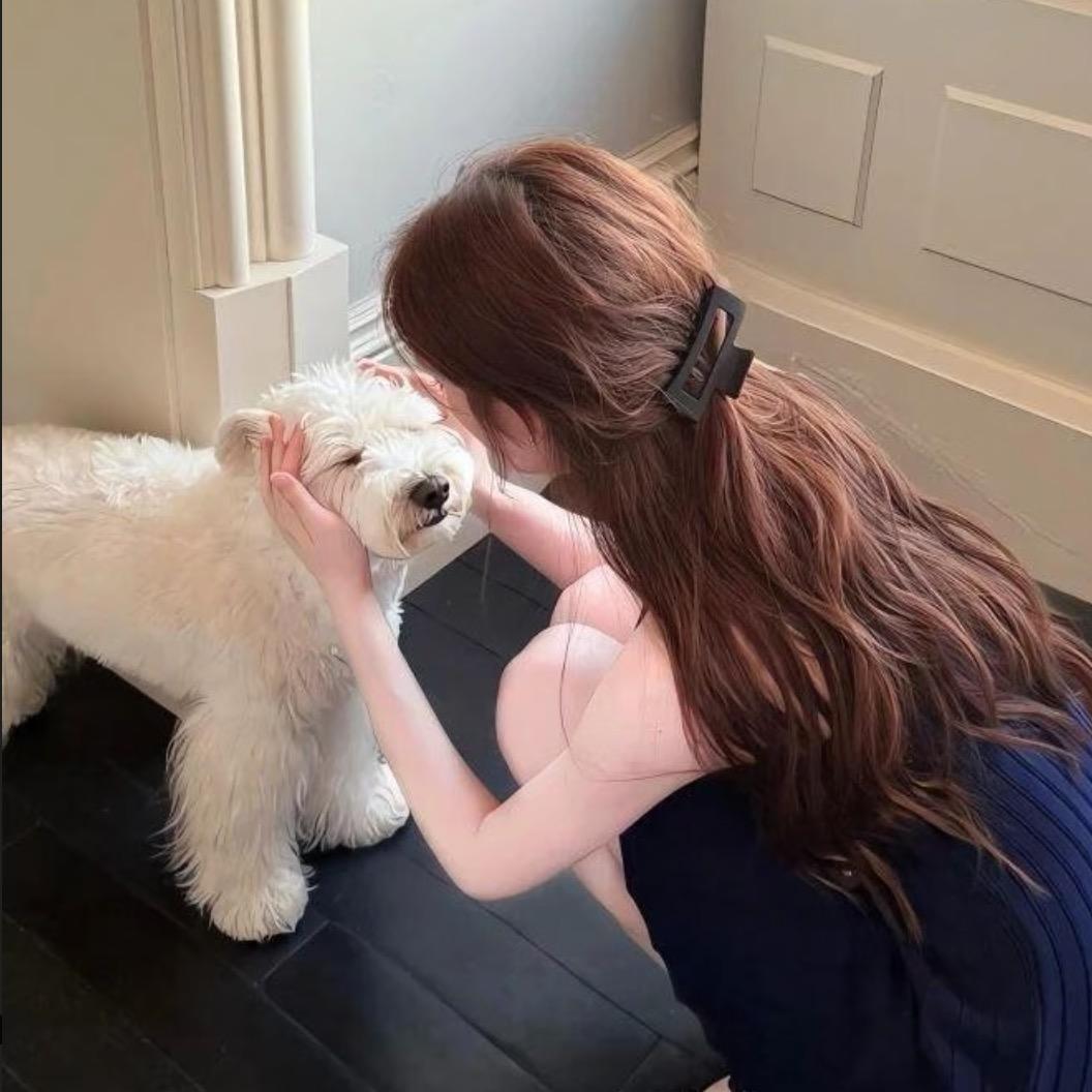 小小y