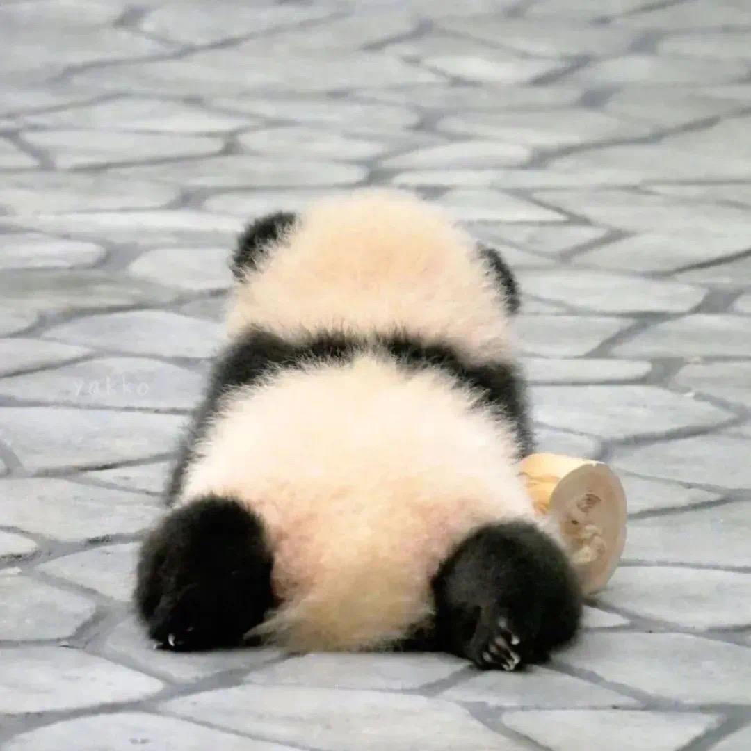 你不问