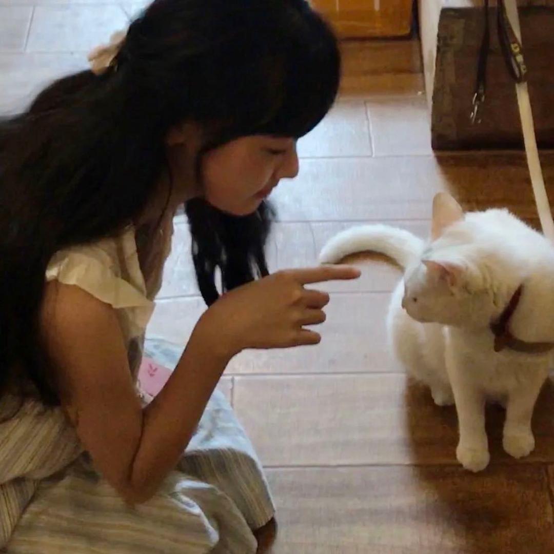 CatCat🥟🥟