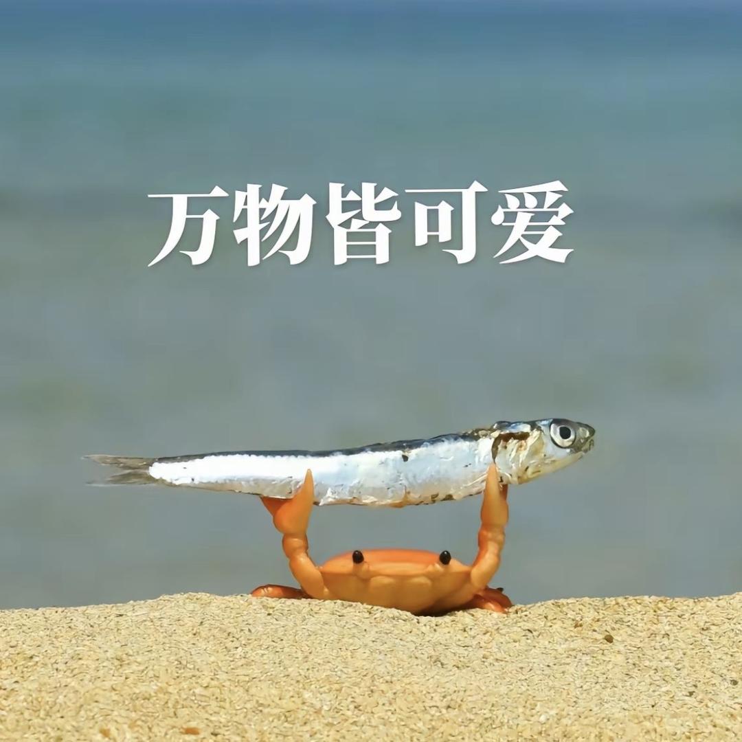 🎣🐟🐟🐟