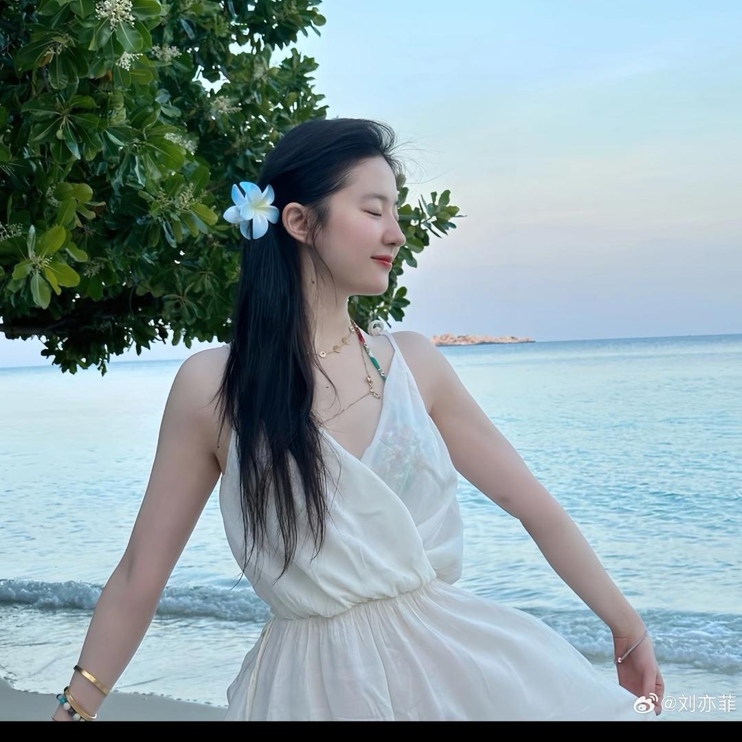 绝美大山猪的朋友