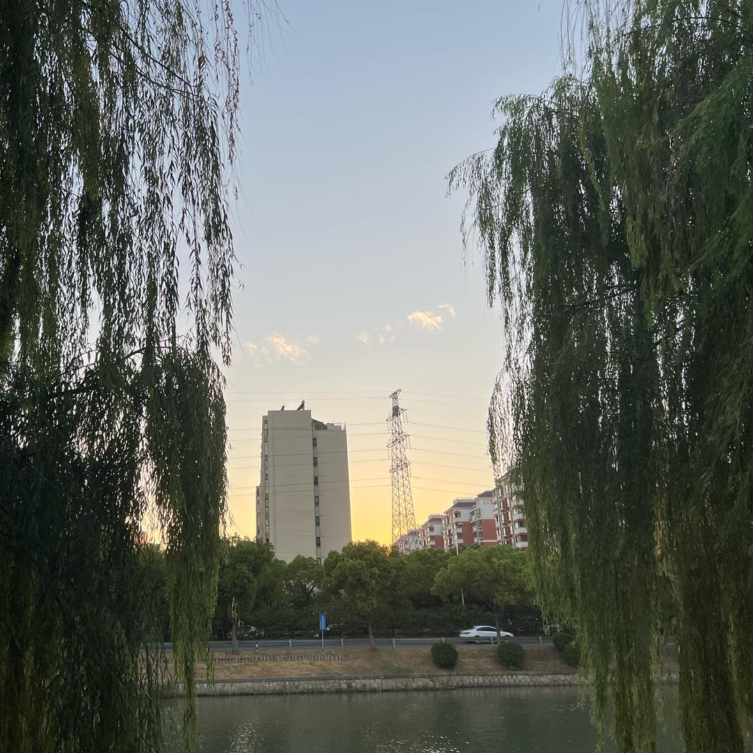 白衣（吃丹修仙）