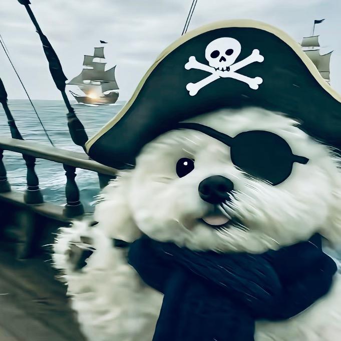 我是海盗🏴‍☠️