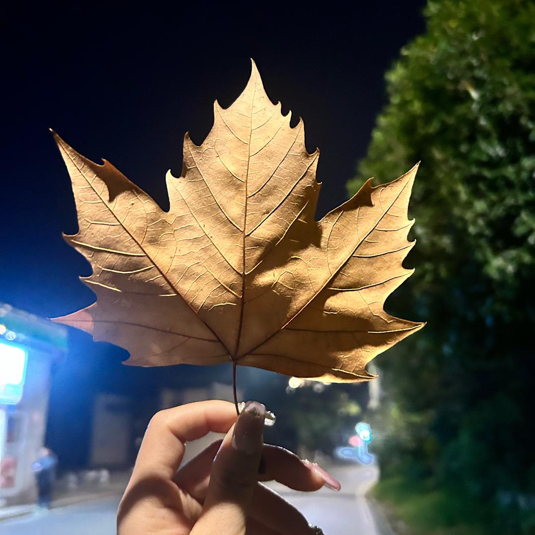 九月