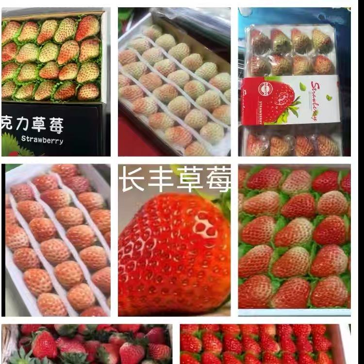 合肥长丰源丰果业