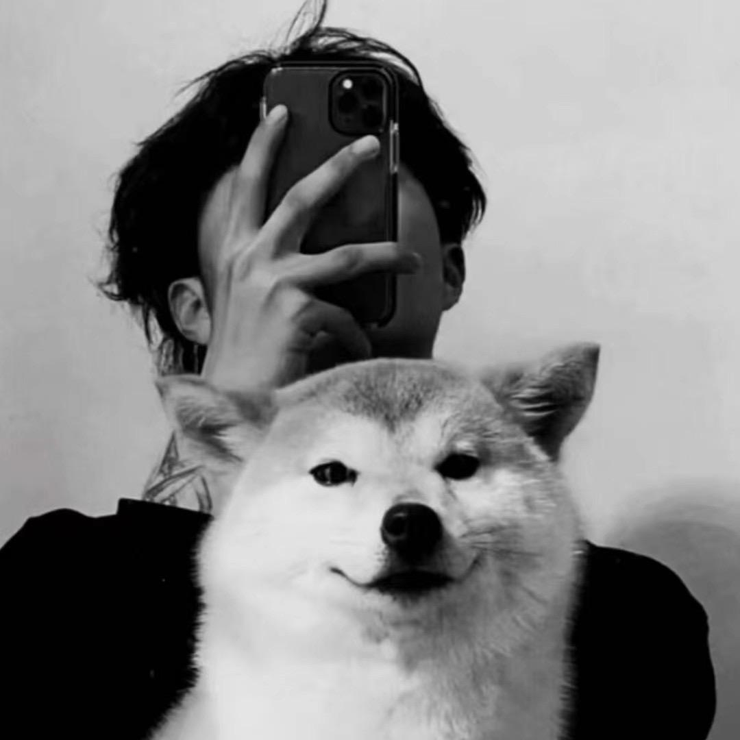 不会拍照的狗狗