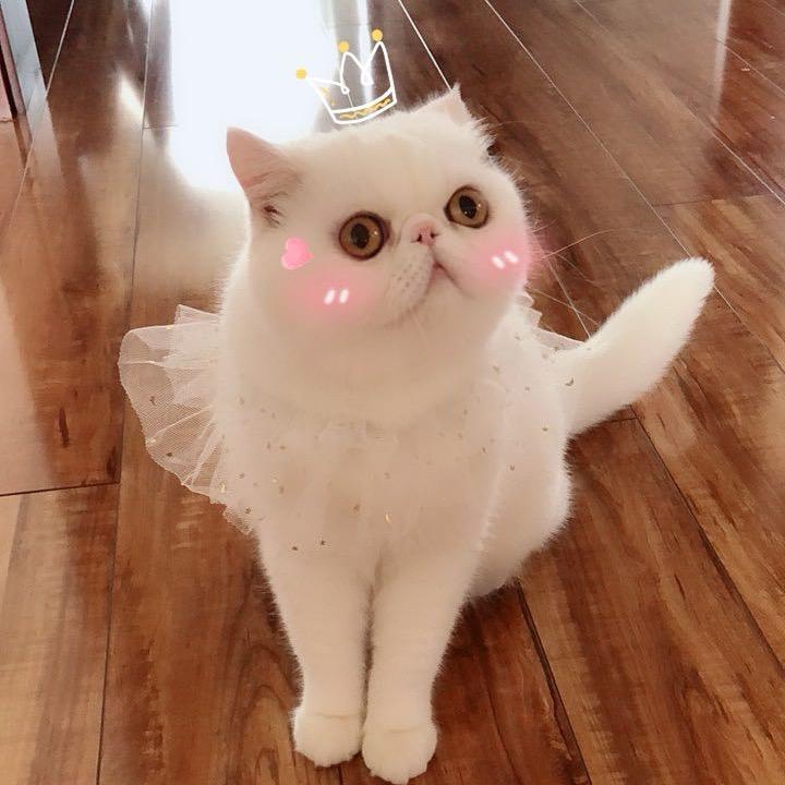 微笑宝贝