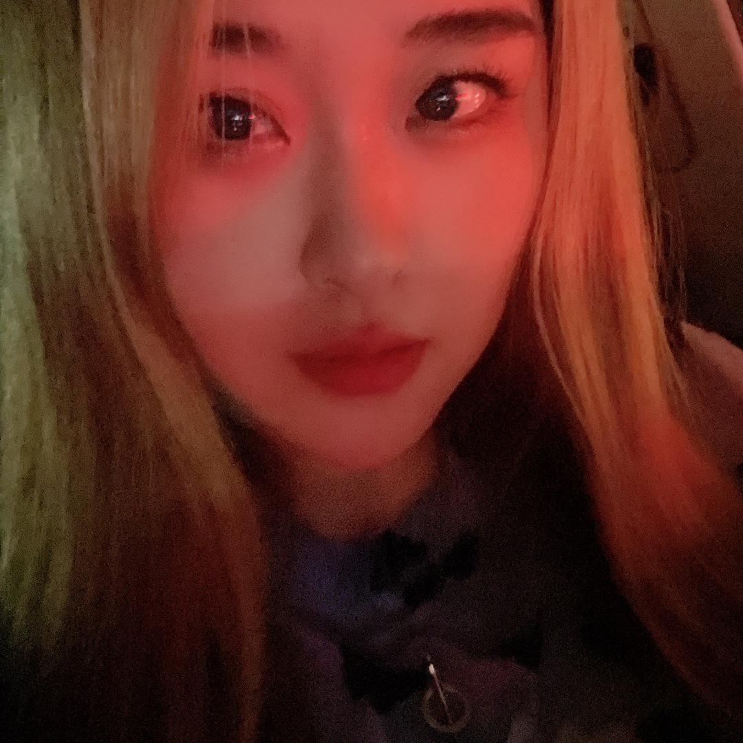 🍅二哈附体的脱缰小野马