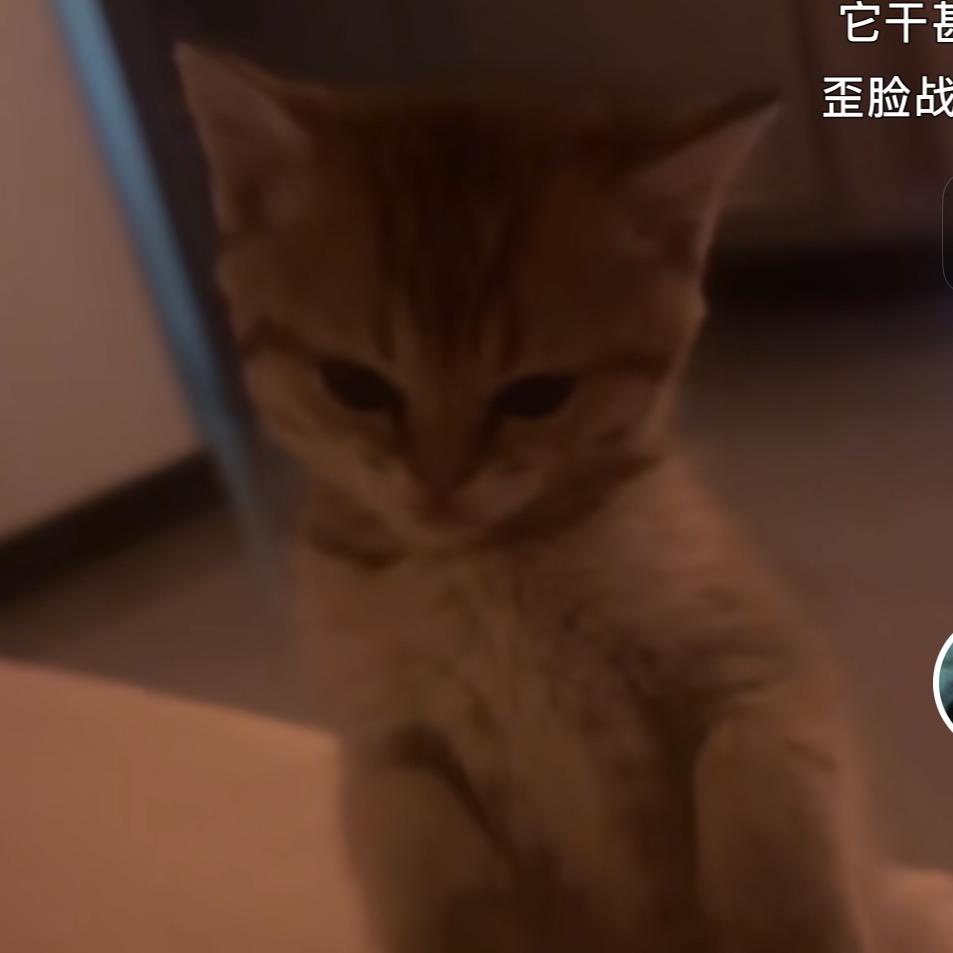 脑瓜