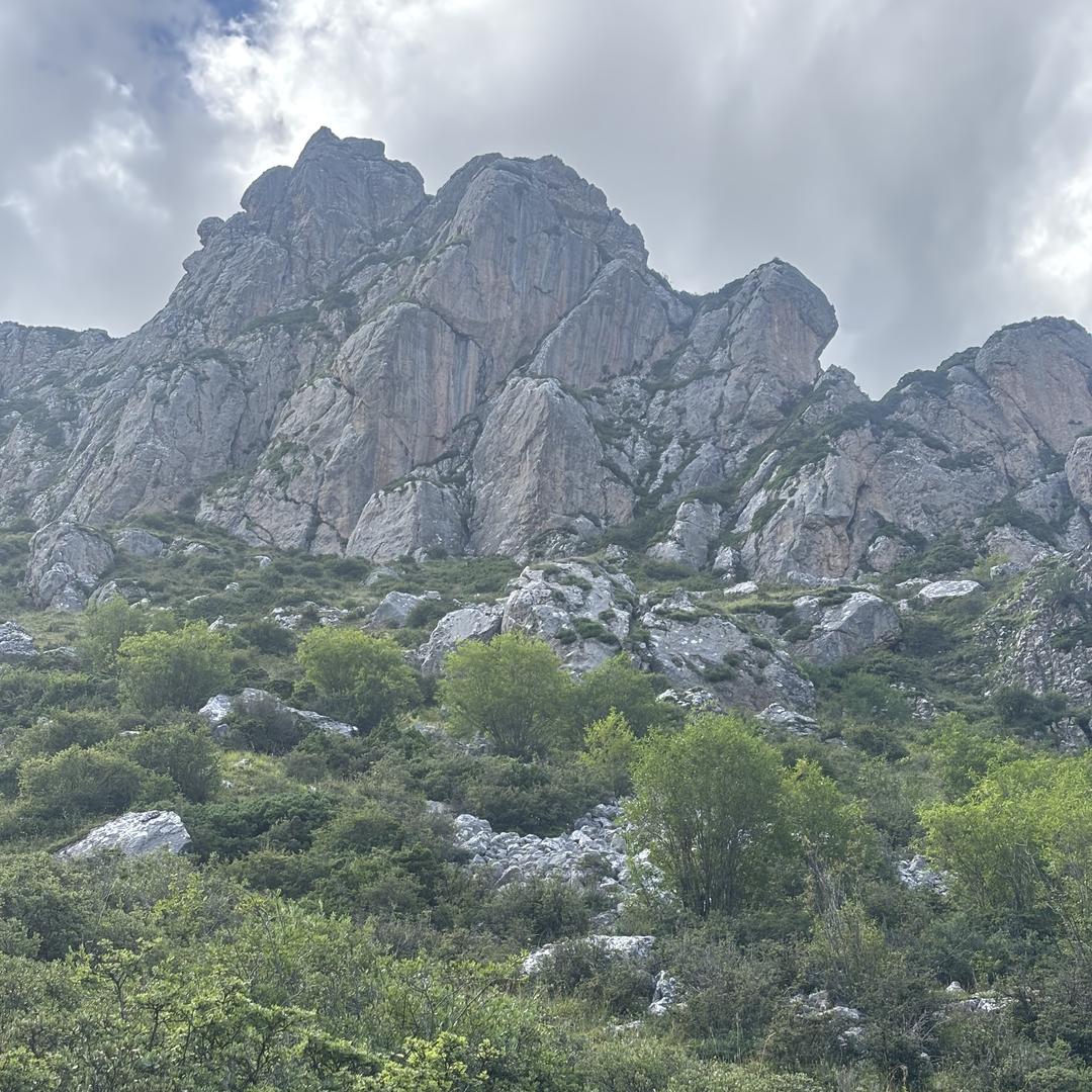 漳县百草农产品商务店