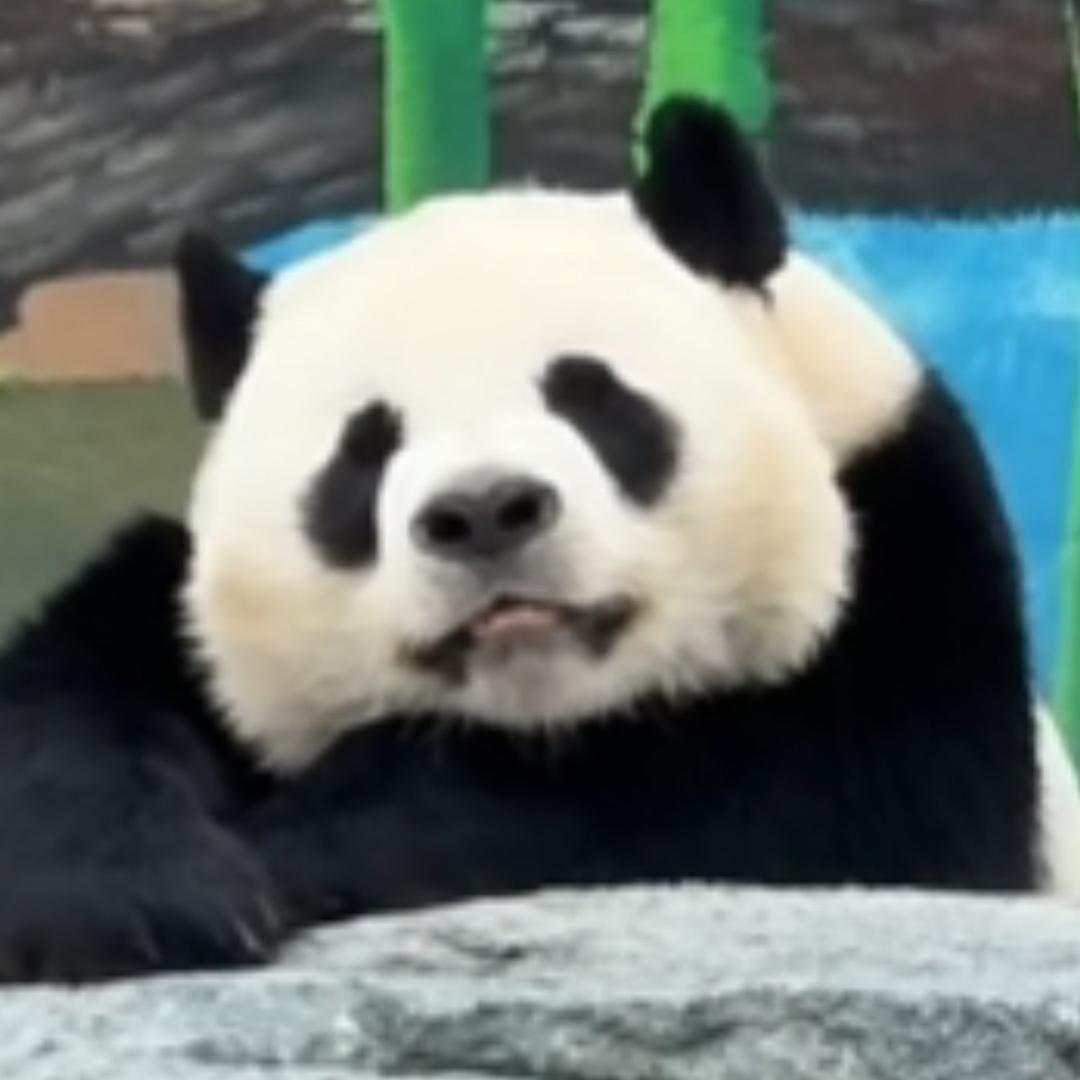 用户567844993789