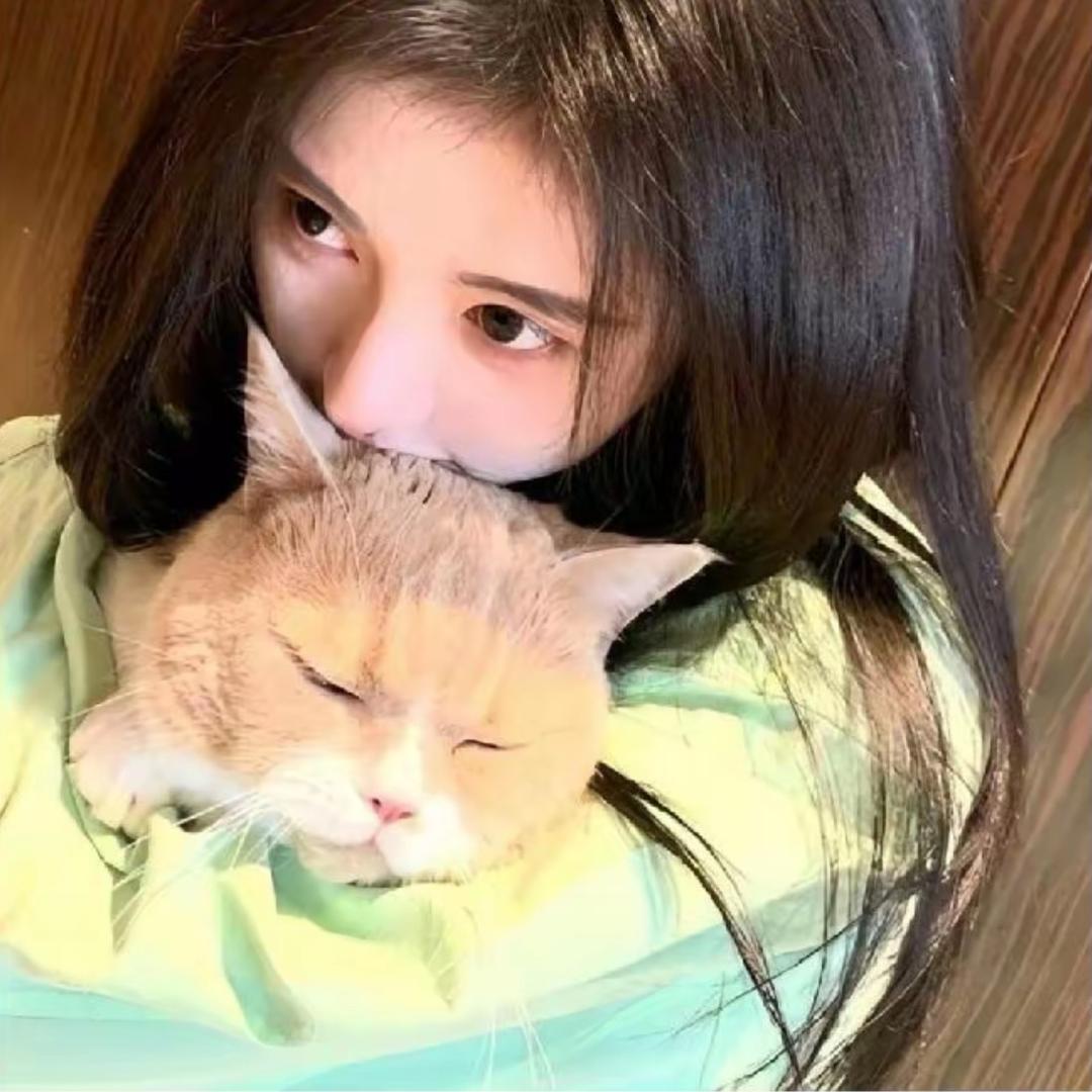 上弦月🌙