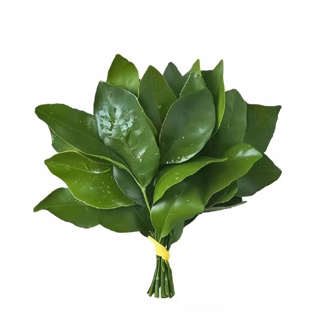 爱吃西兰花🥦