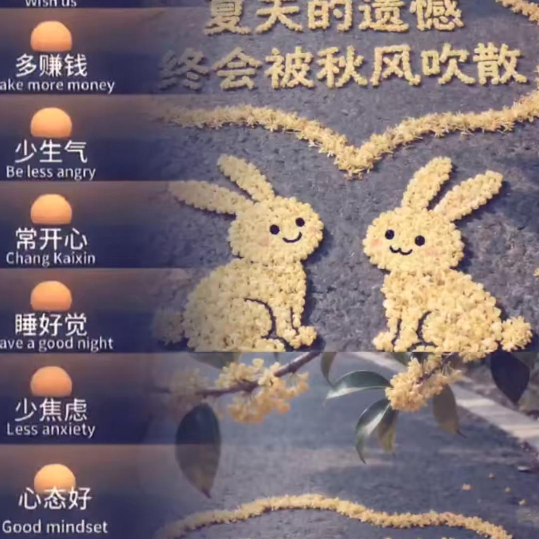 雨落倾城