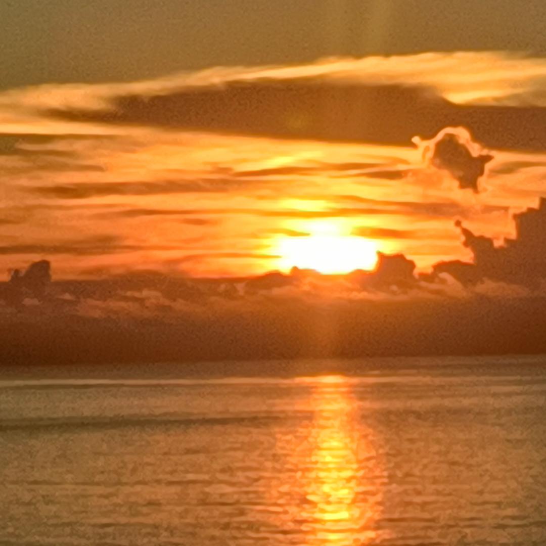 义乌正弘销售瑶瑶