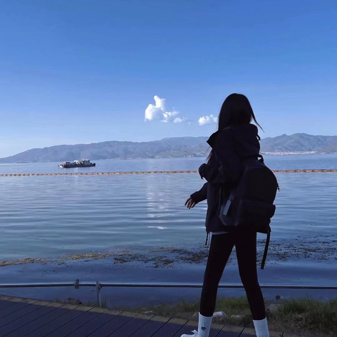 汤杨鲨鱼裤淼焱鑫