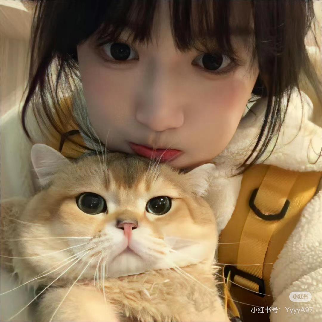 小懒zZ