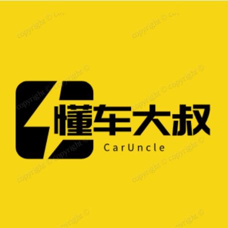懂车大叔
