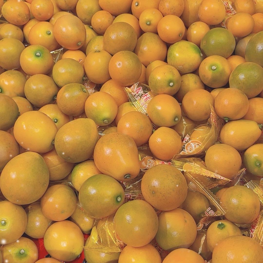 广西融安金桔基地