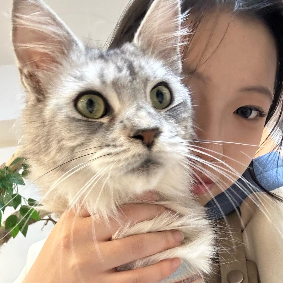 源源y