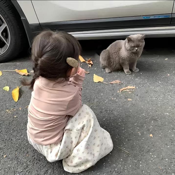 晚归秋🥀.