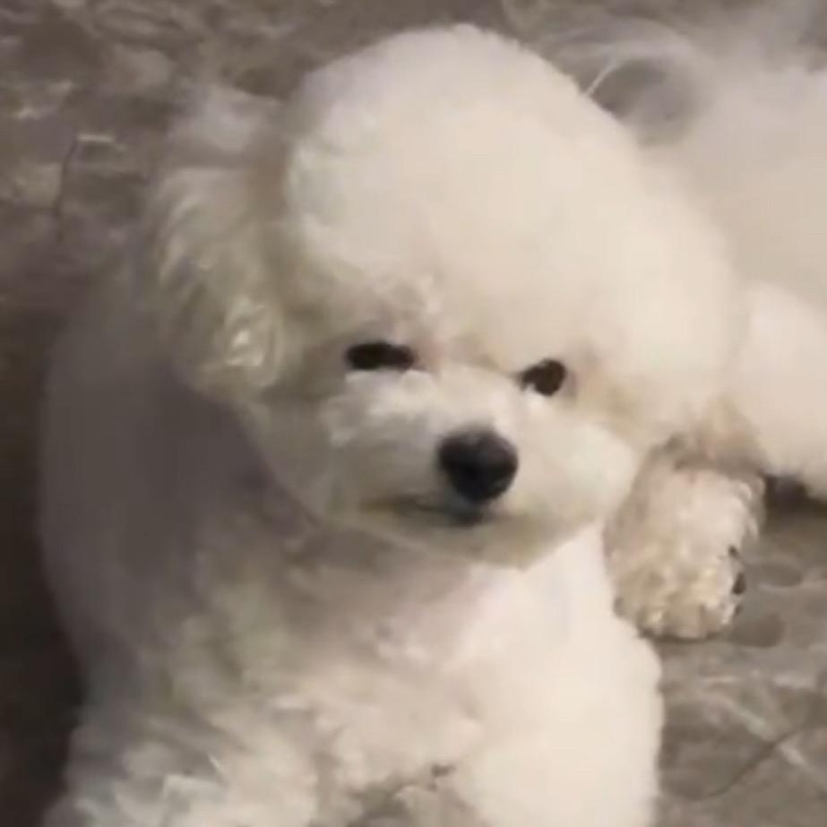 泺枢爬走