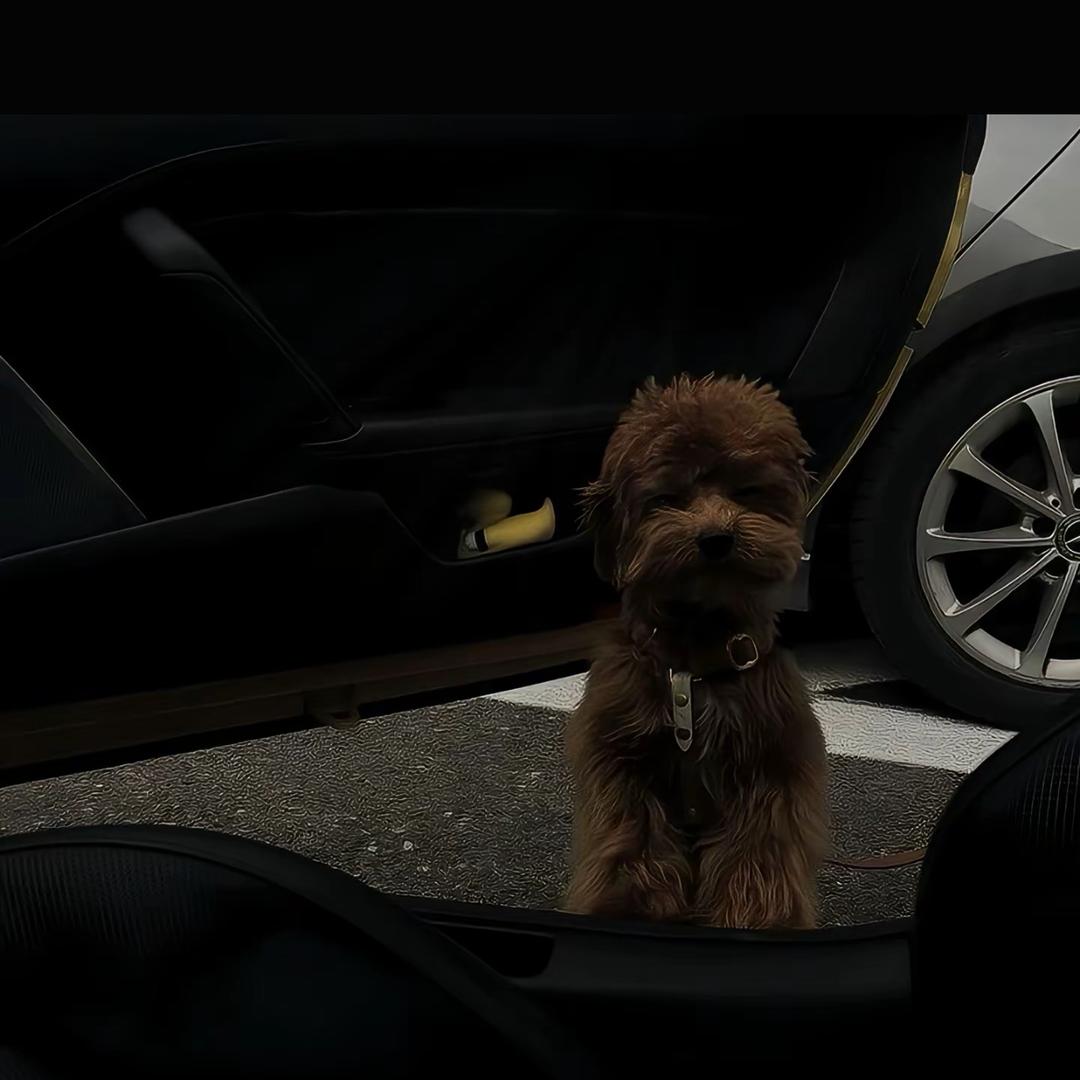 @𝑯𝒆  𝒀𝒂𝒏𝒈🌵