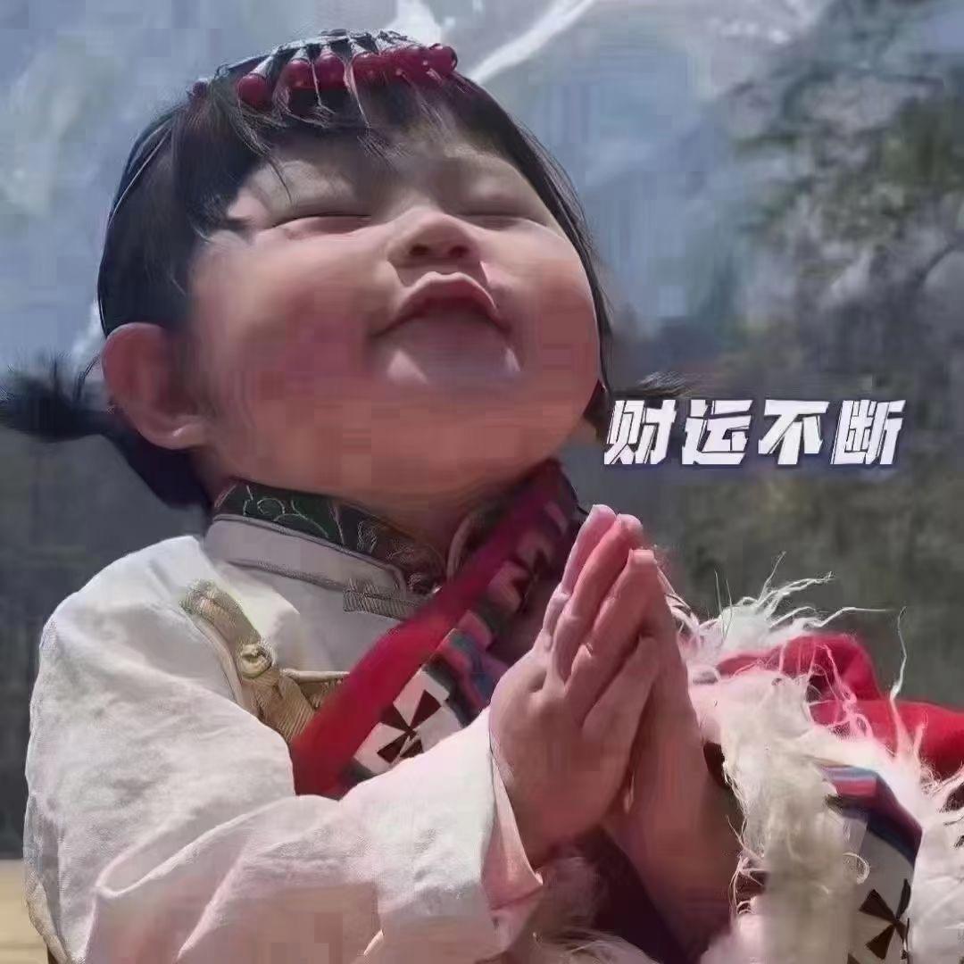 沪上丹丹