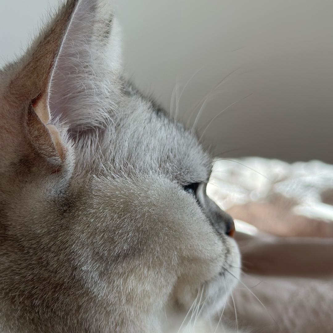 挪一挪